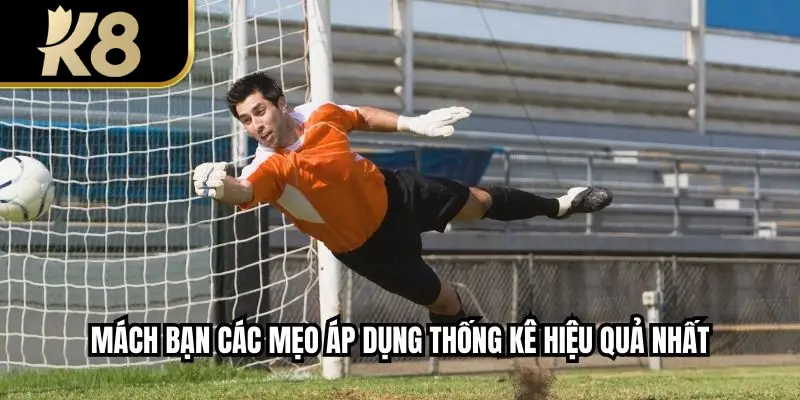 Mách bạn các mẹo áp dụng thống kê hiệu quả nhất